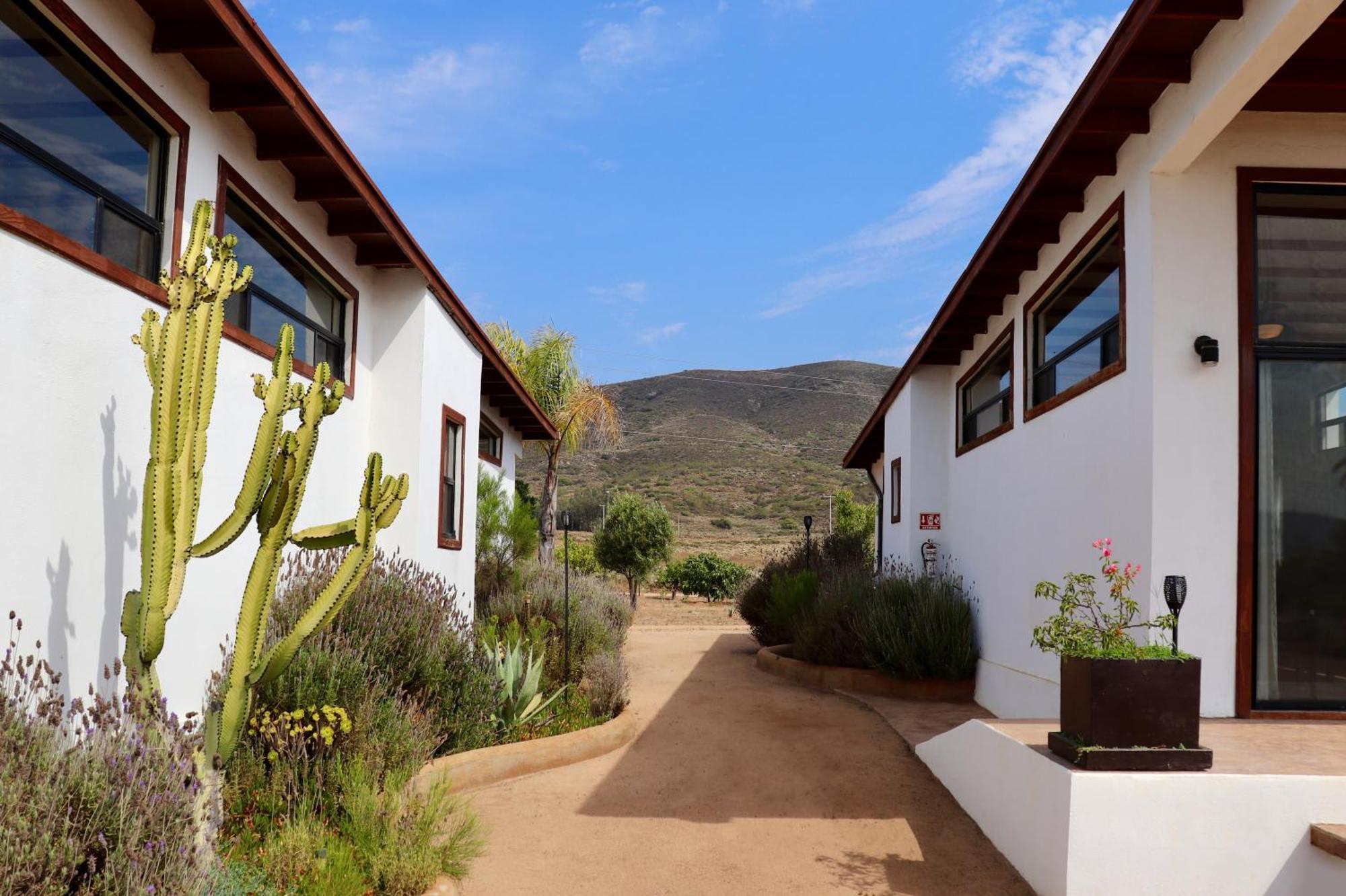Villa Victoria, Valle De Guadalupe Exterior photo