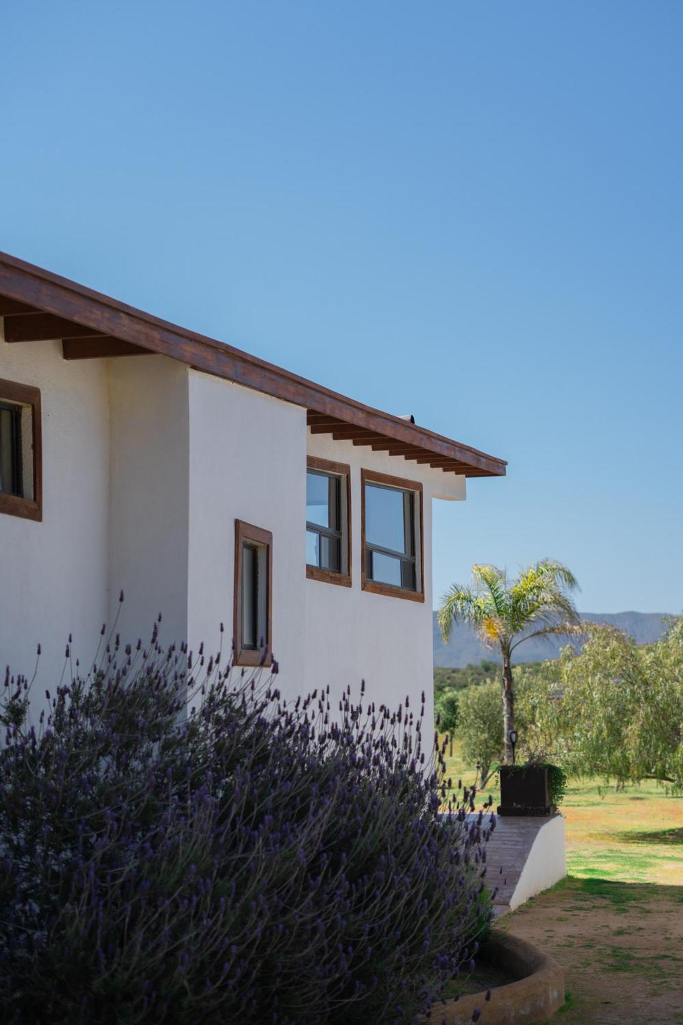 Villa Victoria, Valle De Guadalupe Exterior photo